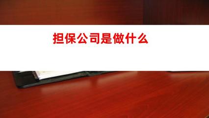 担保公司做什么——经济合同中的核心作用全解析