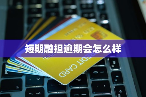 短期融资担保逾期的影响与应对 经济合同担保的关键解析